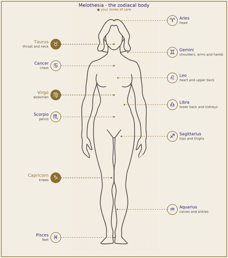 Melothesia diagram: the zodiacal body, each sign labelled with the region it governs, from Aries at the head to Pisces at the feet, with zones of attention highlighted in gold