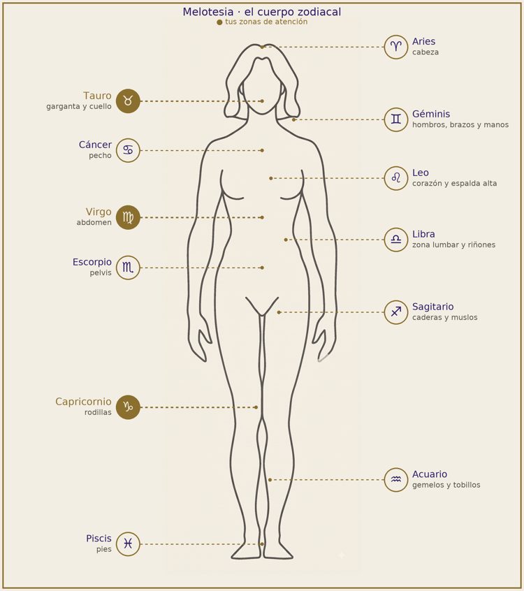 Diagrama de melotesia: el cuerpo zodiacal, cada signo rotulado con la zona que rige, de Aries en la cabeza a Piscis en los pies, con las zonas de atención resaltadas en oro